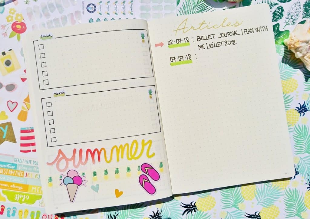 Bullet journal plan with me