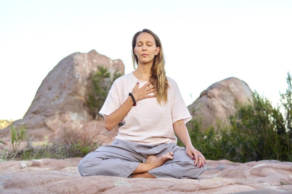 meditation vipassana change votre cerveau