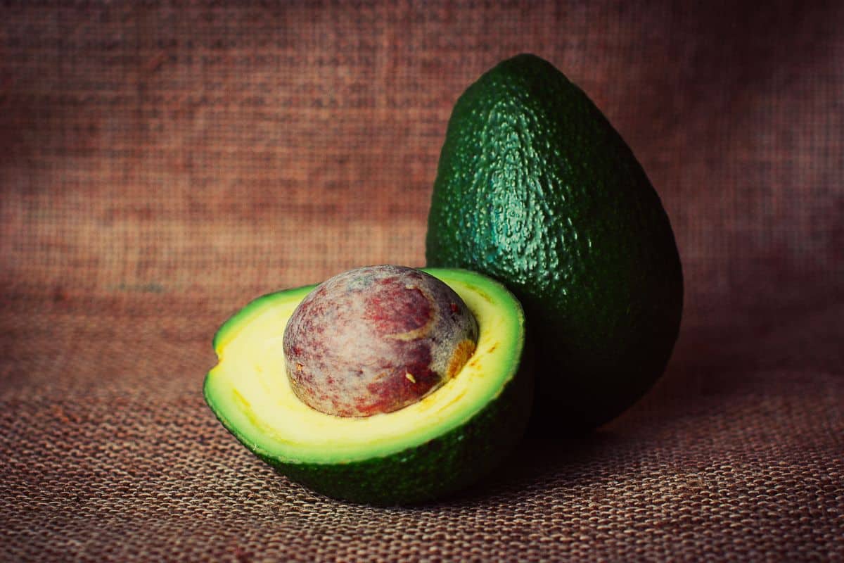 comment faire pousser un noyau avocat chez soi
