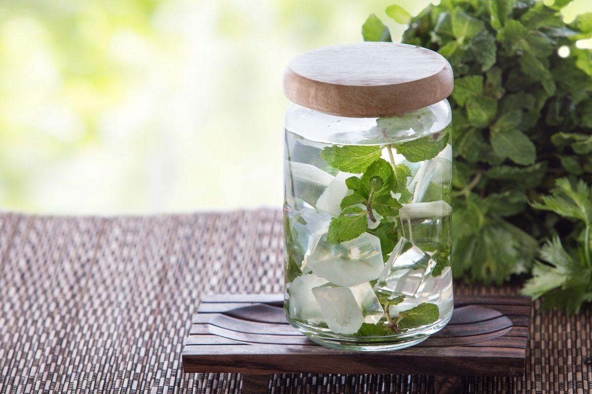 infusion persil