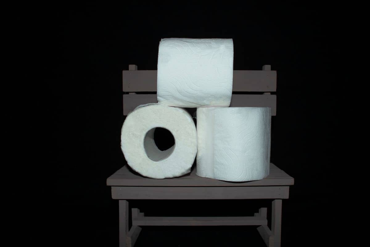 pose papier toilette